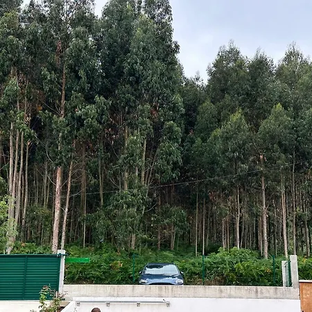 Casita La 'dore Apartamento Cariño